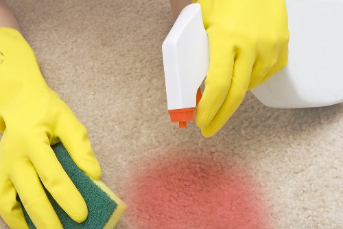 Technician assessing pet stain odour removal needs in a Richmond home