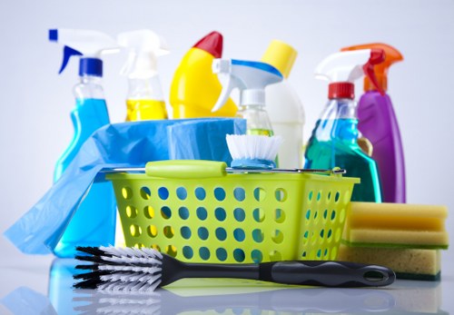Window cleaning service for Richmond homes with period and modern properties