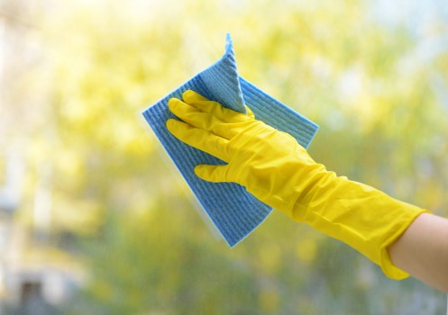 Professional oven cleaning in a Richmond home kitchen