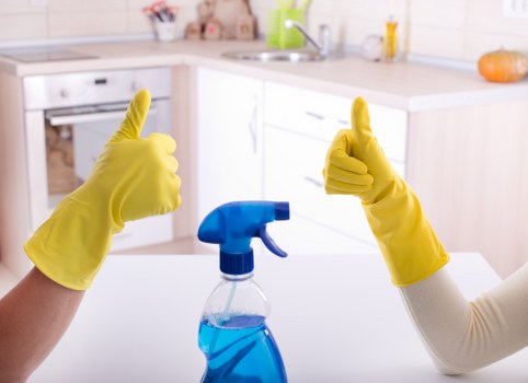 Kitchen and bathroom maintenance during regular cleaning in Richmond
