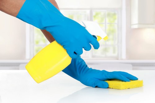 Professional rug cleaning service for a Richmond home interior
