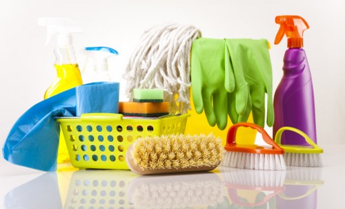 Professional sofa cleaning in a Richmond living room