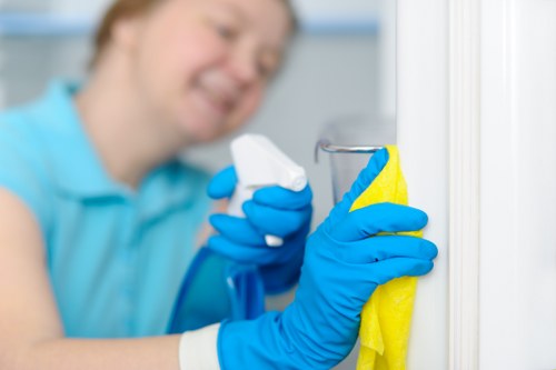 Upholstery deep cleaning for a family sofa in Richmond