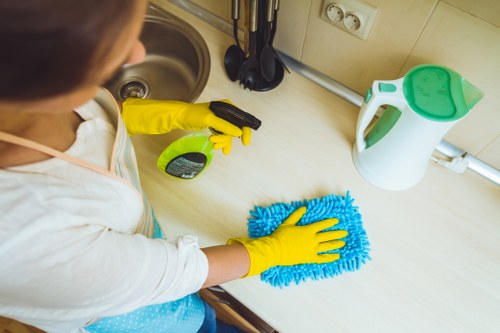 Domestic cleaner working carefully in a home interior