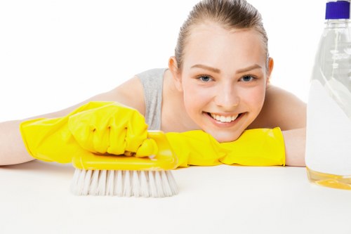 Local Richmond mattress cleaning for homes and rentals