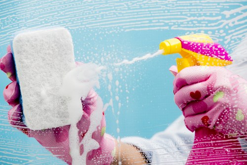 Steam cleaning equipment used for Richmond property carpet care