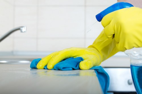 Professional home cleaning in a Richmond flat