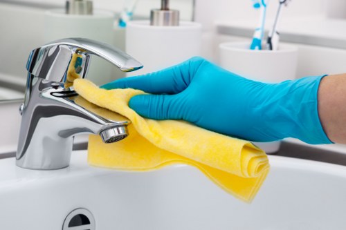 Detailed kitchen and bathroom cleaning during a Richmond move-out clean