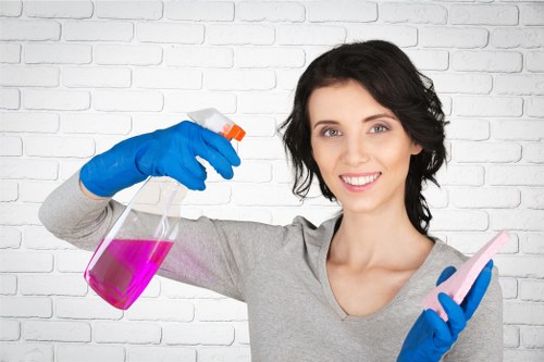 Inclusive Richmond cleaner website accessibility commitment
