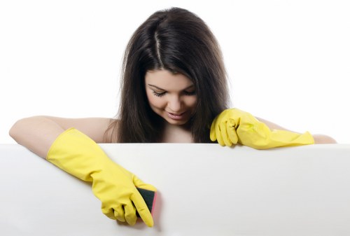 Website optimization and cookie management concept for Richmond Cleaner