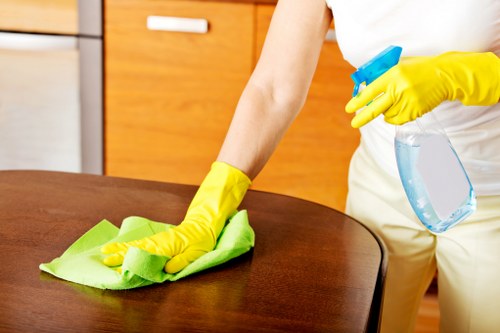 Local domestic cleaning team preparing a Richmond home